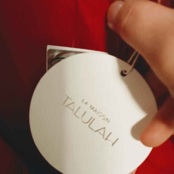 NWT La Maison Talulah Florence midi ruffle dress xl - Picture 4 of 5